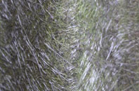 Rylstone fibreglass roof work